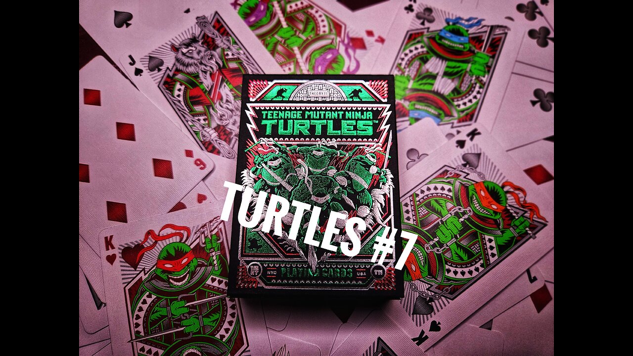 Whats the Count? Turtles #7