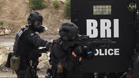 BRI: the French response to gangsters