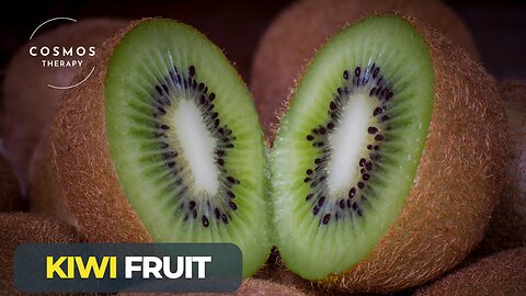 Kiwi Fruit Diet benefits | A Tangy Wonder of Nature | A Short Documentary