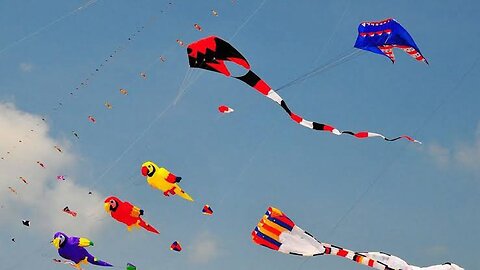 Firozepur Basant panchami festival