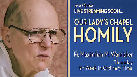 Friday of the Thirty-first Week in Ordinary Time - November 7, 2025 - OLC HOMILY