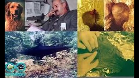 The Shocking Story of Dr. Jonathan Reed’s Alien Encounter
