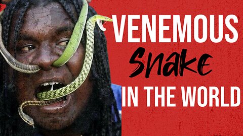 The Inland Most Venomous Snake