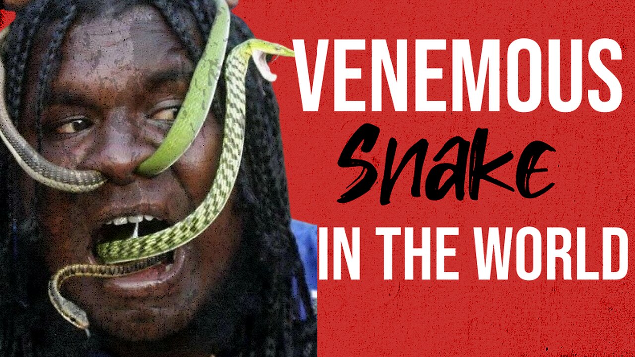 The Inland Most Venomous Snake