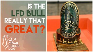 Is the LFD Andalusian Bull Really That Great?