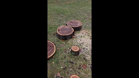 Can You Name 3 Types Of Wood In This Clip ?