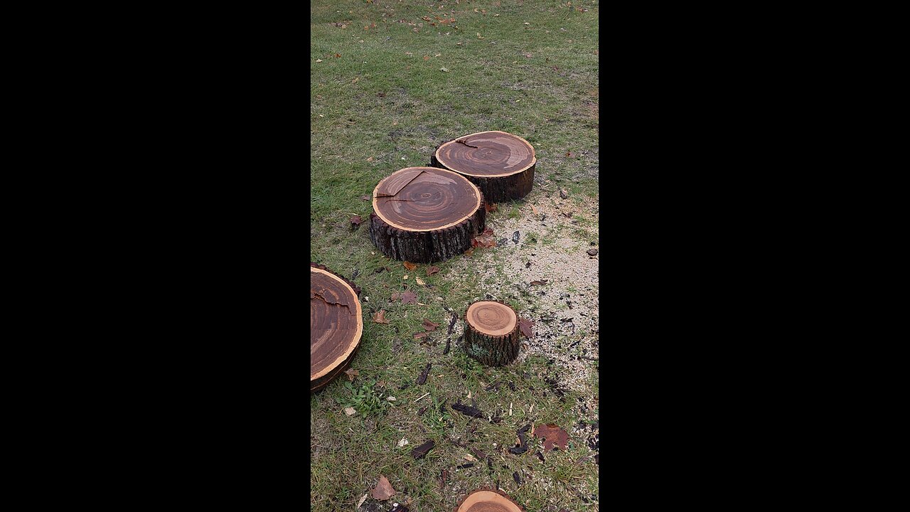 Can You Name 3 Types Of Wood In This Clip ?