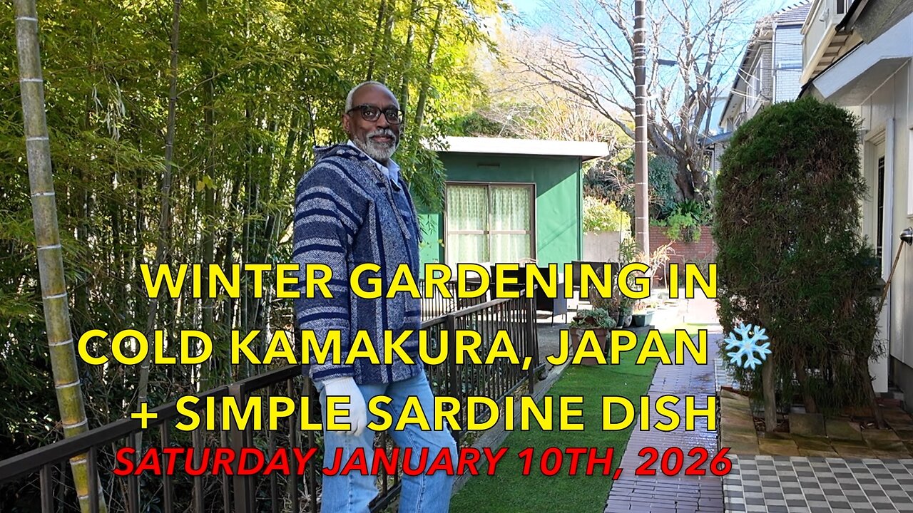 Winter Gardening in Cold Kamakura, Japan ❄️ + Simple Sardine Dish