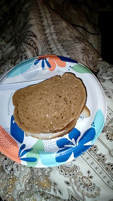 Eating Oscar Meyer Deli Fresh Smoked Turkey Breast, Dbn, MI, 1/3/26