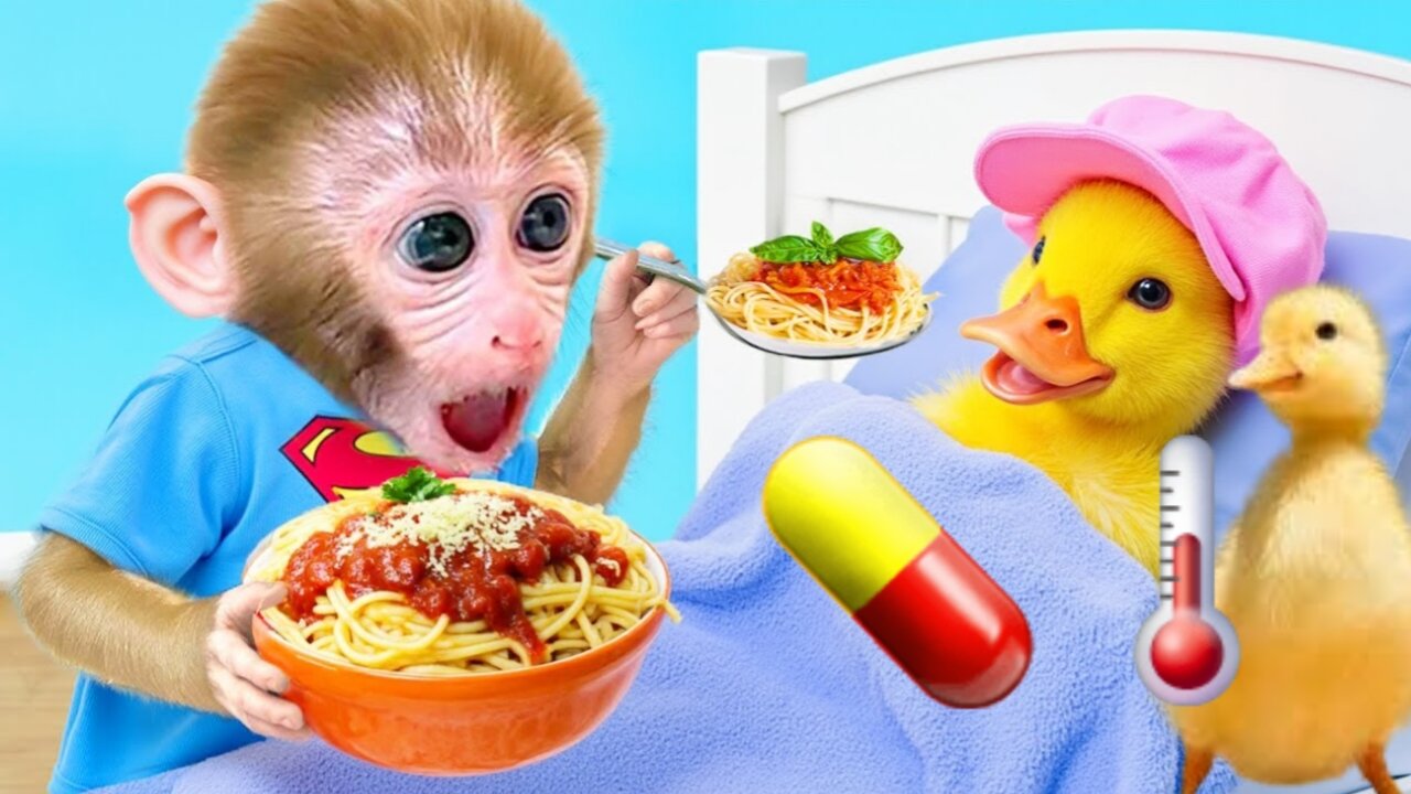 Bonmonkeykiki Si Monyet Imut Memasak Spaghetti danJadi Kakak Hebat yang Merawat Bebek_kikiIndonesia