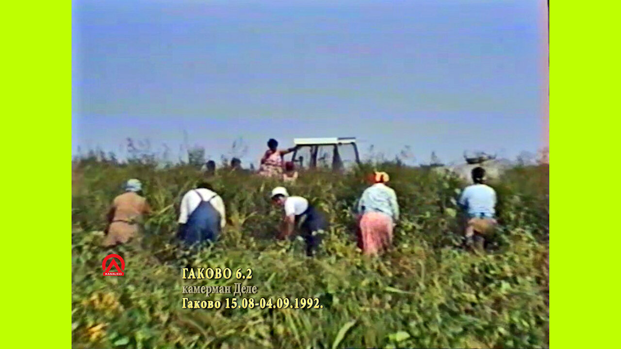 19920815 Gakovo 6.2