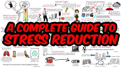How a Serious Stress Reduction Strategy Can Improve Your Life