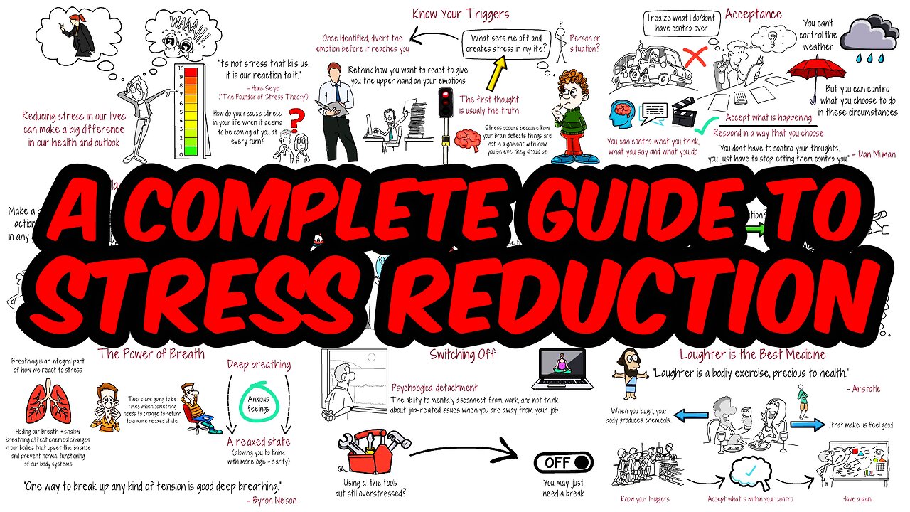 How a Serious Stress Reduction Strategy Can Improve Your Life