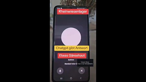 ChatGPT zum Thema: "RHEINWIESENLAGER"