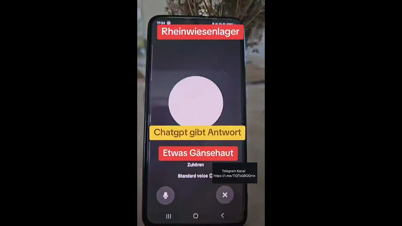 ChatGPT zum Thema: "RHEINWIESENLAGER"