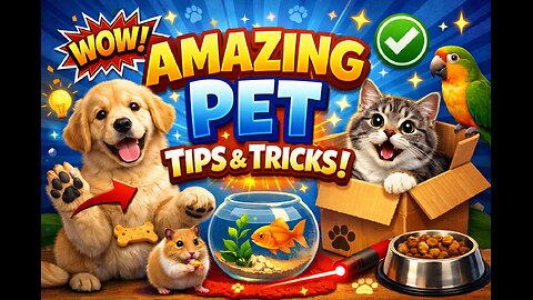 cat shows way to house to turtle