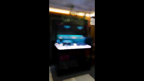 have idea for new tank bro?????