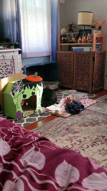 Time to do some rearranging