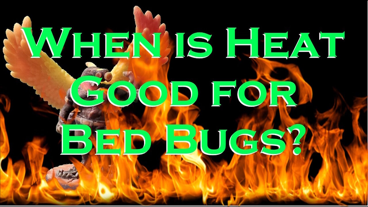 When is Heat Good for Bed Bugs?