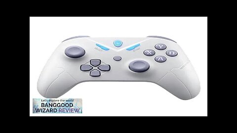 ThundeRobot G30S Wireless Gaming Gamepad 500Hz Hall Trigger Vibrate Video Game Controller Review