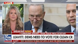 Karoline Leavitt: Dems Are Causing Americans To Feel The Pinch