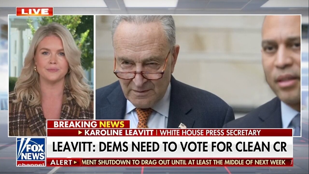 Karoline Leavitt: Dems Are Causing Americans To Feel The Pinch