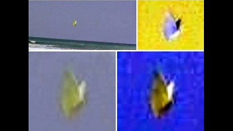 Indonesian Yellow MothMan