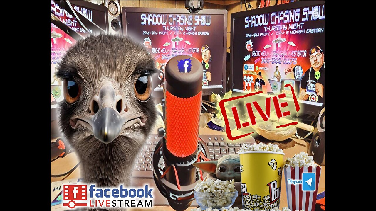 SHADOW CHASING SHOW 24-9-2025 UNIVERSAL OSTRICH BATTLE WITH CFIA