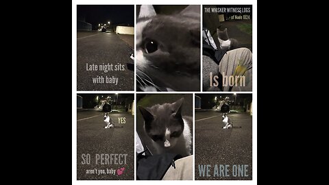 Late night sits with baby (Anahata) 💕