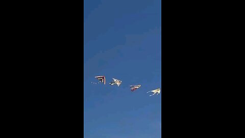 Daily Verse December 4th 2025