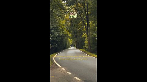 Beautiful forest road!