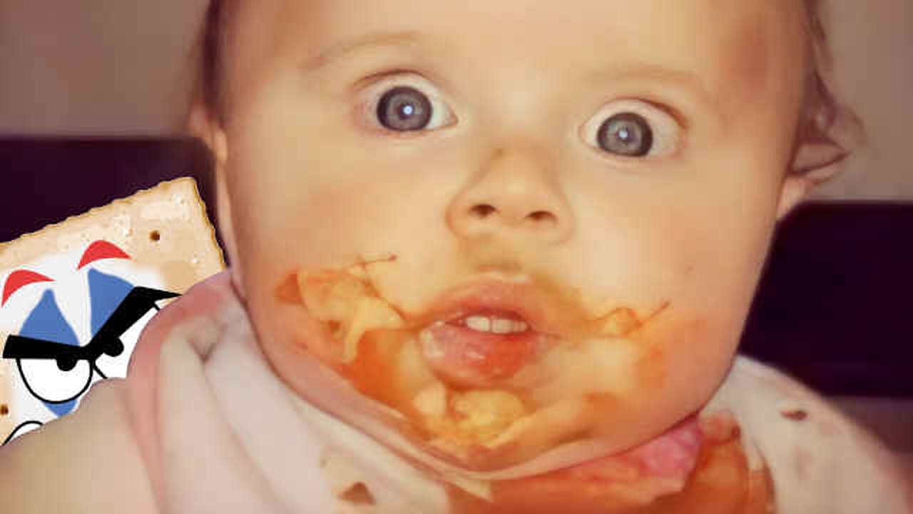 PizzaGate was Real ReeEStream 02-01-26