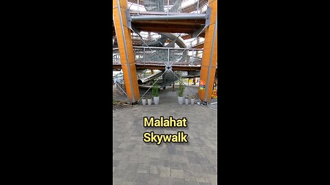 Malahat Skywalk - Circa Jan 23, 2023