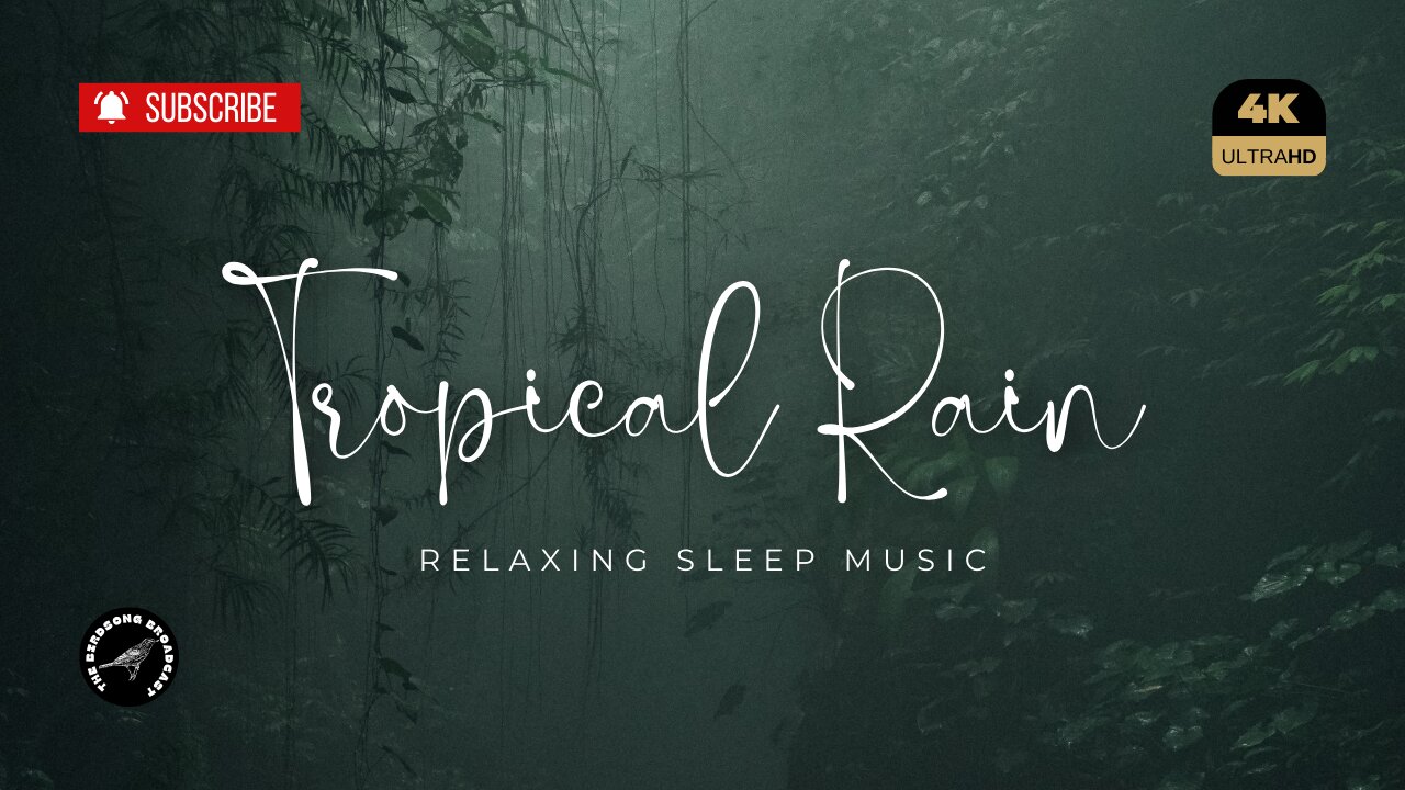 20-Minutes of Tropical Rain Storm: Perfect for Meditation and Stress Relief