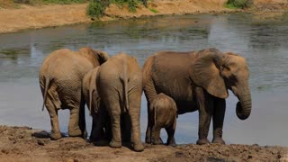 Midnight Productivity House Lofi