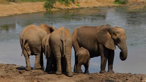 Midnight Productivity House Lofi