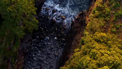 House of Indie Musical vVibe