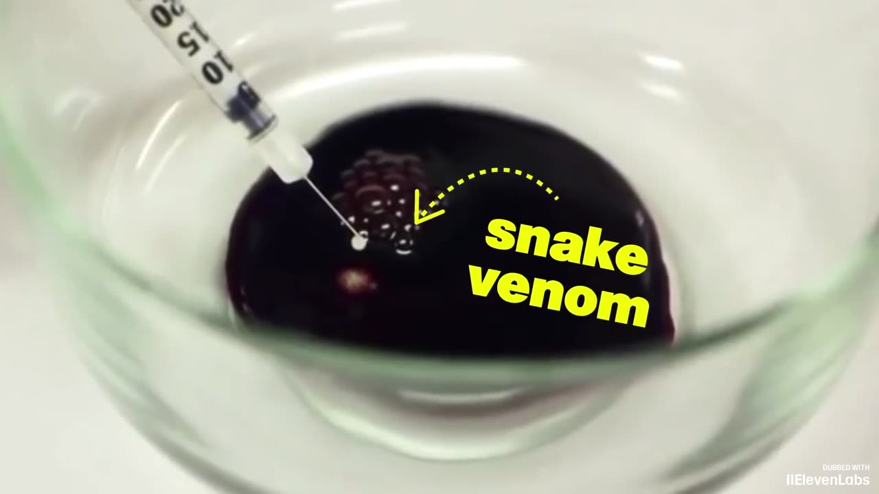 Why Can We Drink the Snake's Venom And Stay Alive?