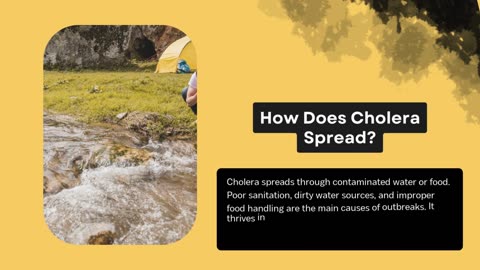 Cholera Vaccination – The Shield Against a Silent Killer