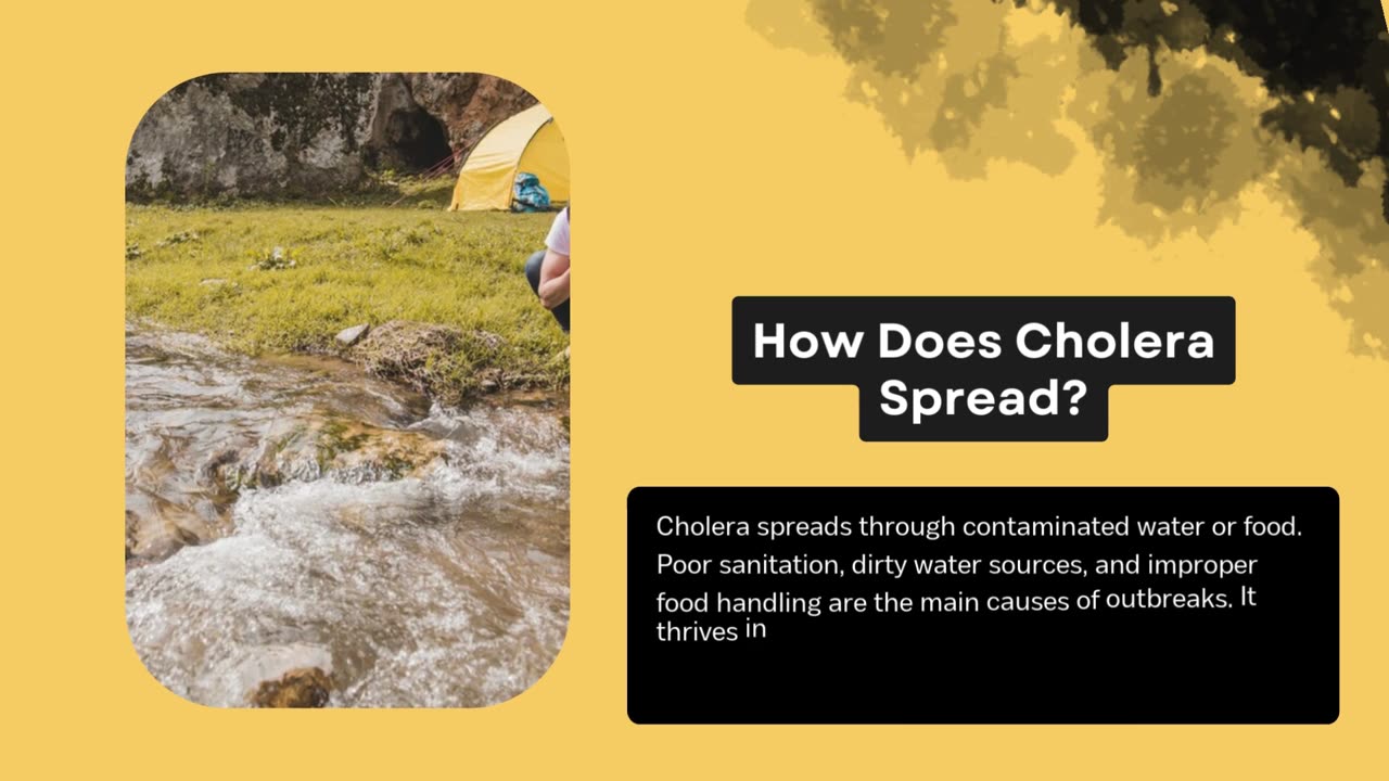 Cholera Vaccination – The Shield Against a Silent Killer