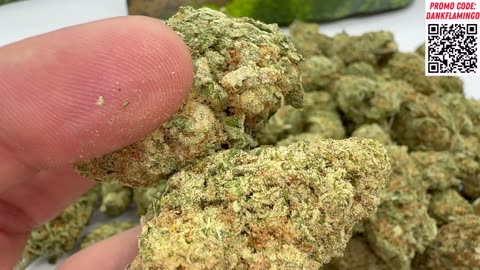 Bulk Wholesale Gummiez and MORE from THCA Small Buds! Dankin with the Flamingos!