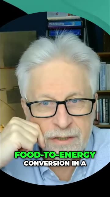 Smokers' Secret: Is Nicotine the Ultimate Focus Hack?