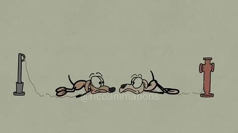 Dogs for no reason! 🤣