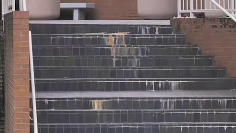 🤯🔥 You Won't Believe This Huge Kickflip! | SkateNation