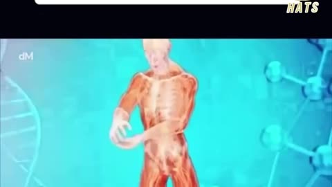 1 gram of DNA can store upto 700TB (Terabytes) of data… this means your body has