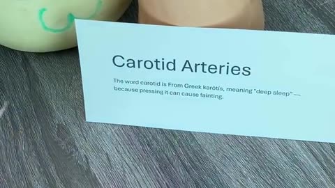 😮💔 Survive a Gunshot Wound to the Neck? This Is Shocking! | FeedMyCuriosity