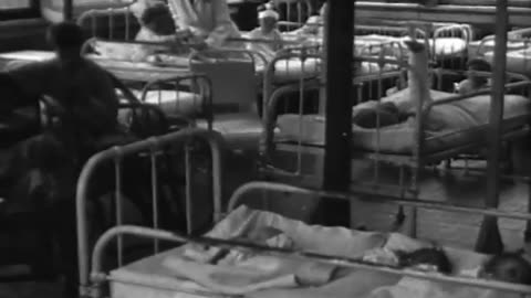 Ford English School Li... - Ford English School Lights and Shadows in a City of a Millio - fc-fc-675