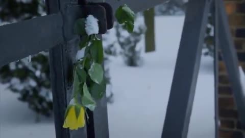 The Savage Peace - Ethnic Cleansing and Slaughter of Germans Post WW2