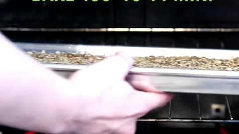 Homemade Granola Bars Easy Oven Recipe!