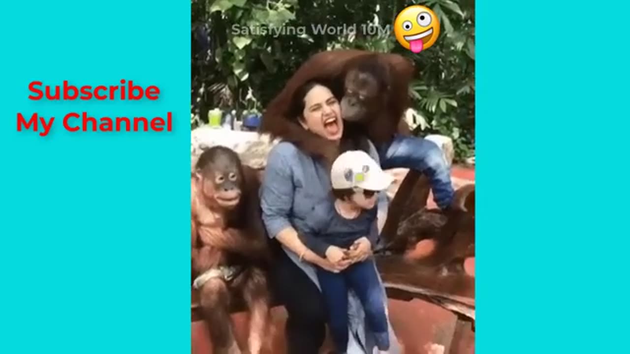 Animals getting funny 😁 😂